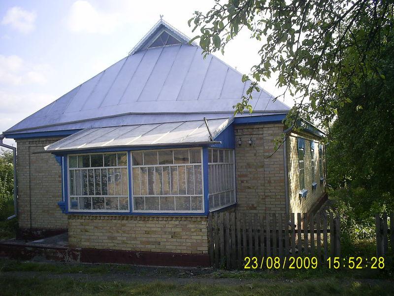 Шандра в інтернеті - Шандра