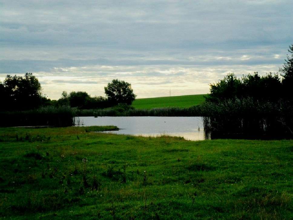 Краєвиди села. - Саверці