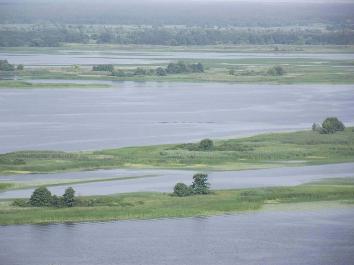 Витичів. Краєвиди - Витачев