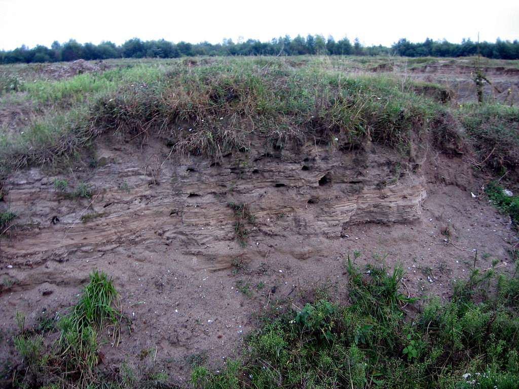 Рідні оку краєвиди - Любар