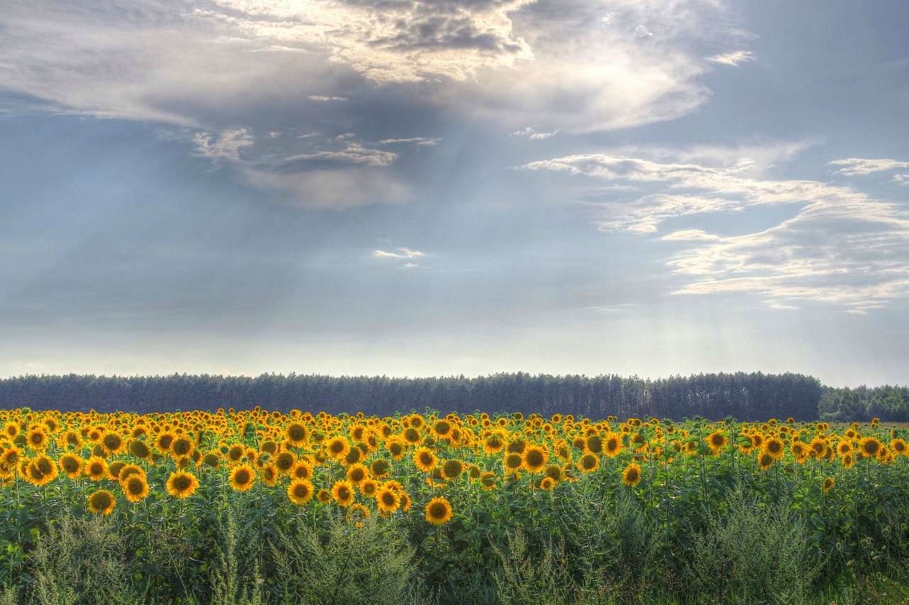 С. Лучин природа - Лучин