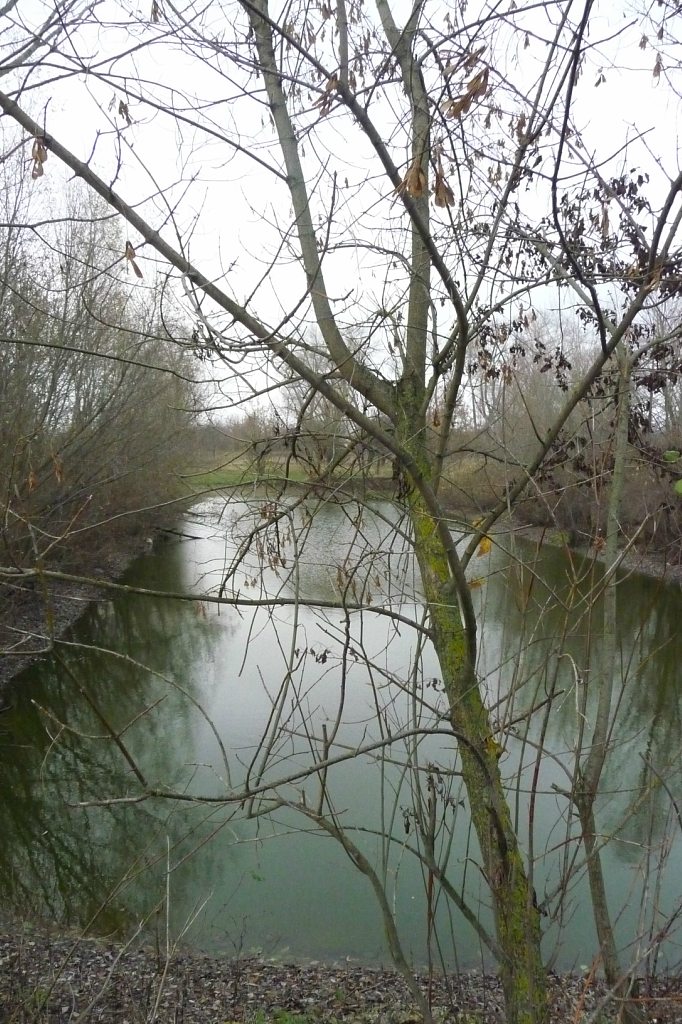 моя комаровка - Комаровка