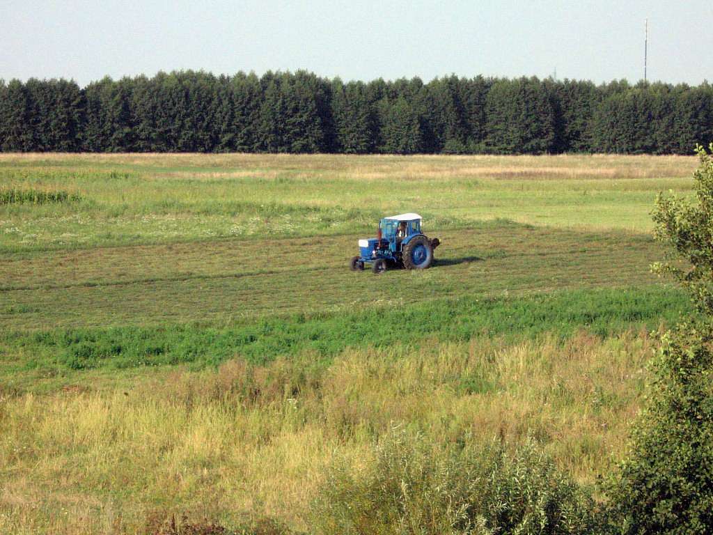 Рідні оку краєвиди - Любар