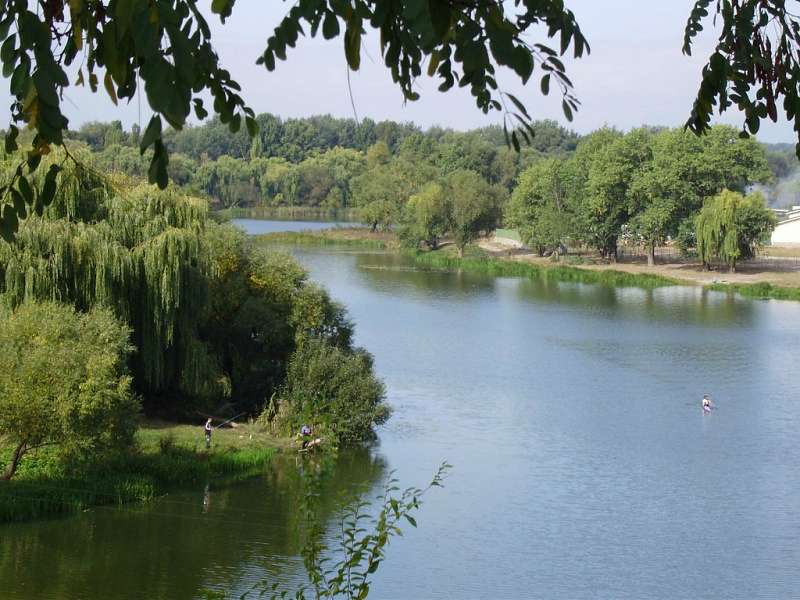 м.Біла Церква  - Біла Церква