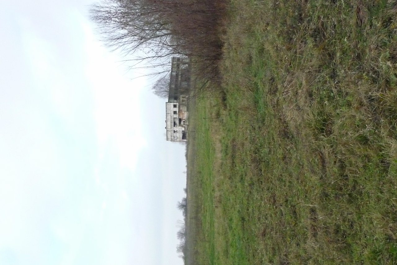 моя комаровка - Комаровка