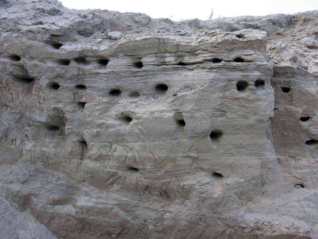 Рідні оку краєвиди - Любар