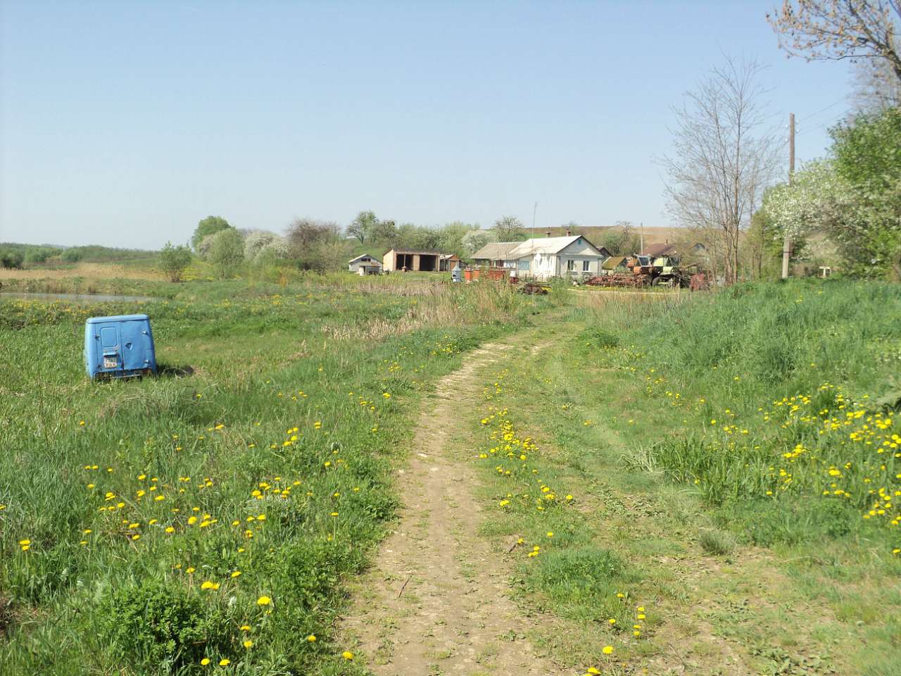 Весна 2012 - Лебеді