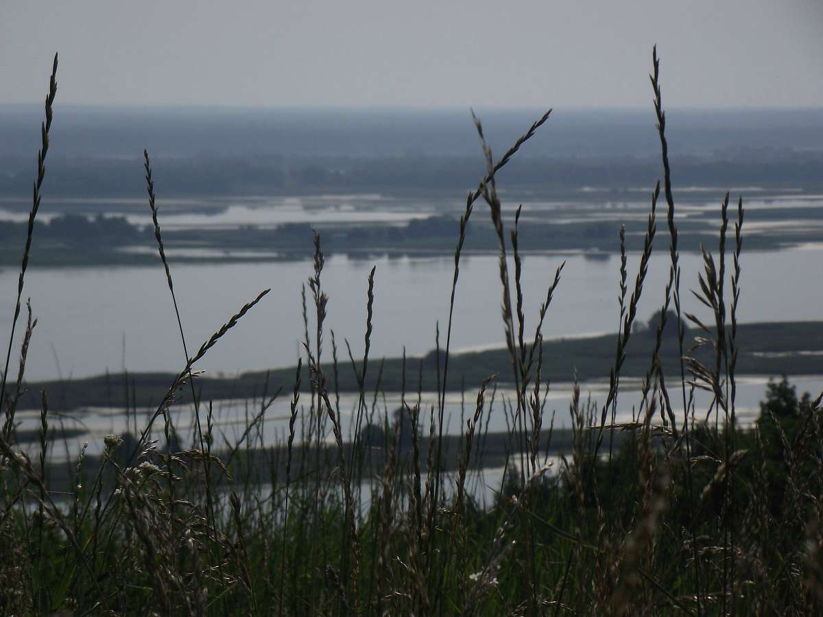 Витичів. Краєвиди - Витачів