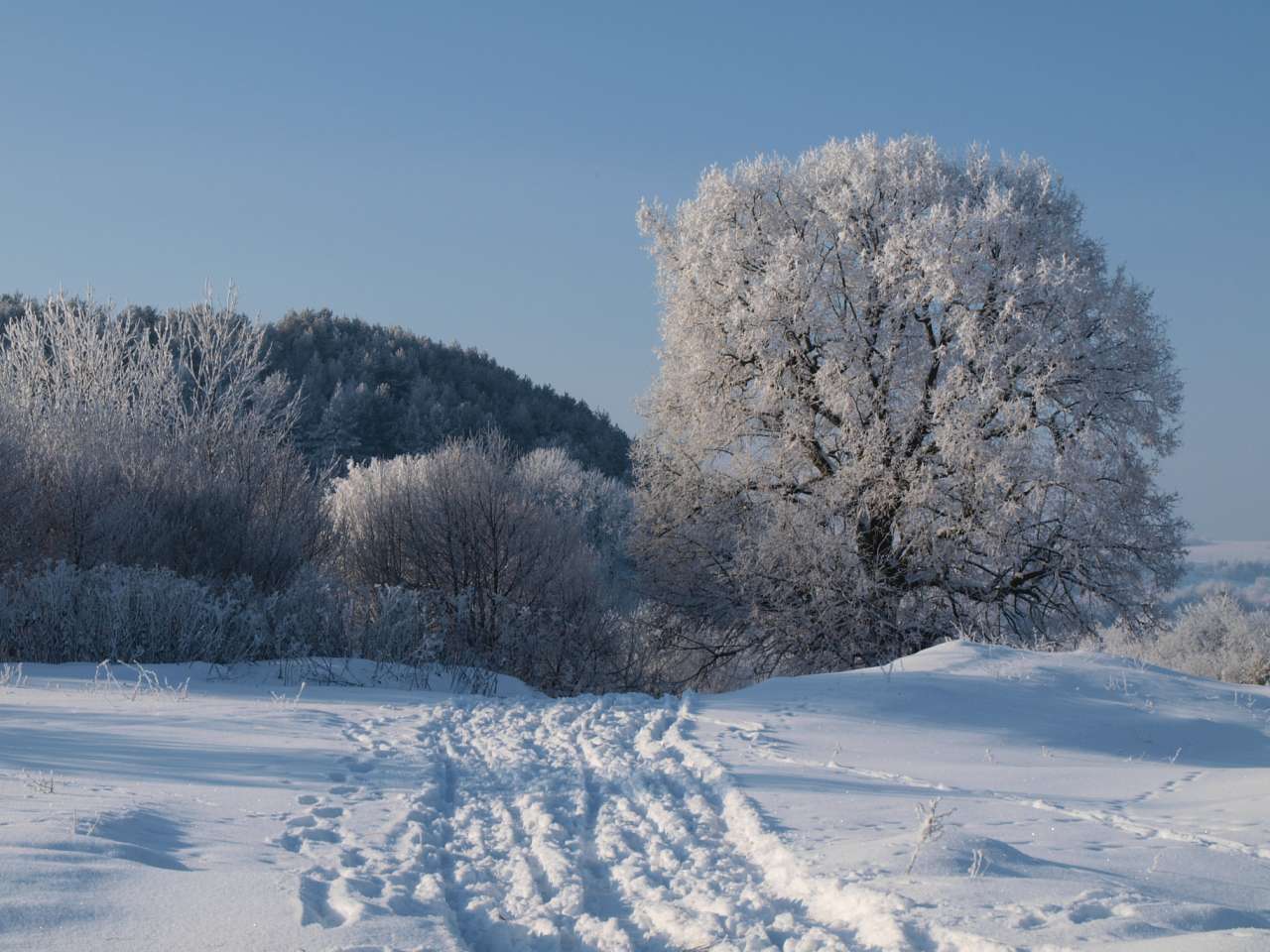 Вибудів моїми очима - Вибудів