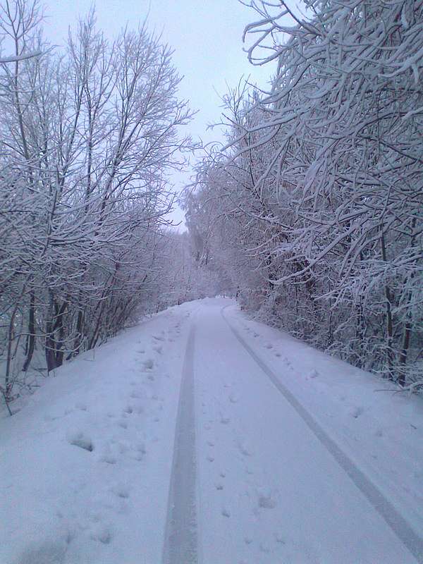 котлярка - Котлярка