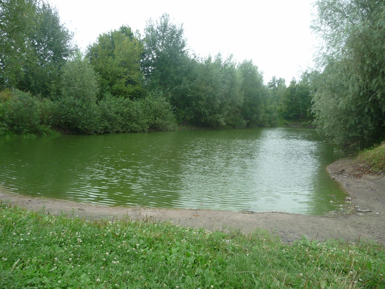 моя комаровка - Комаровка