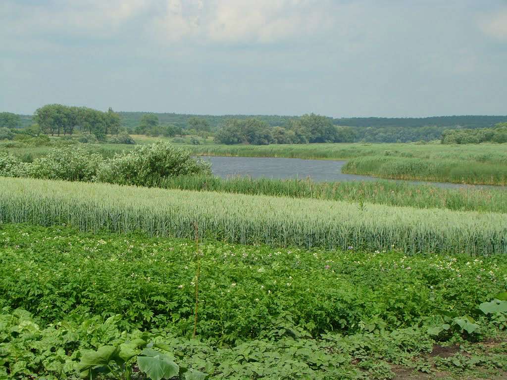 с Соколів Брід на мапі - Соколів Брід