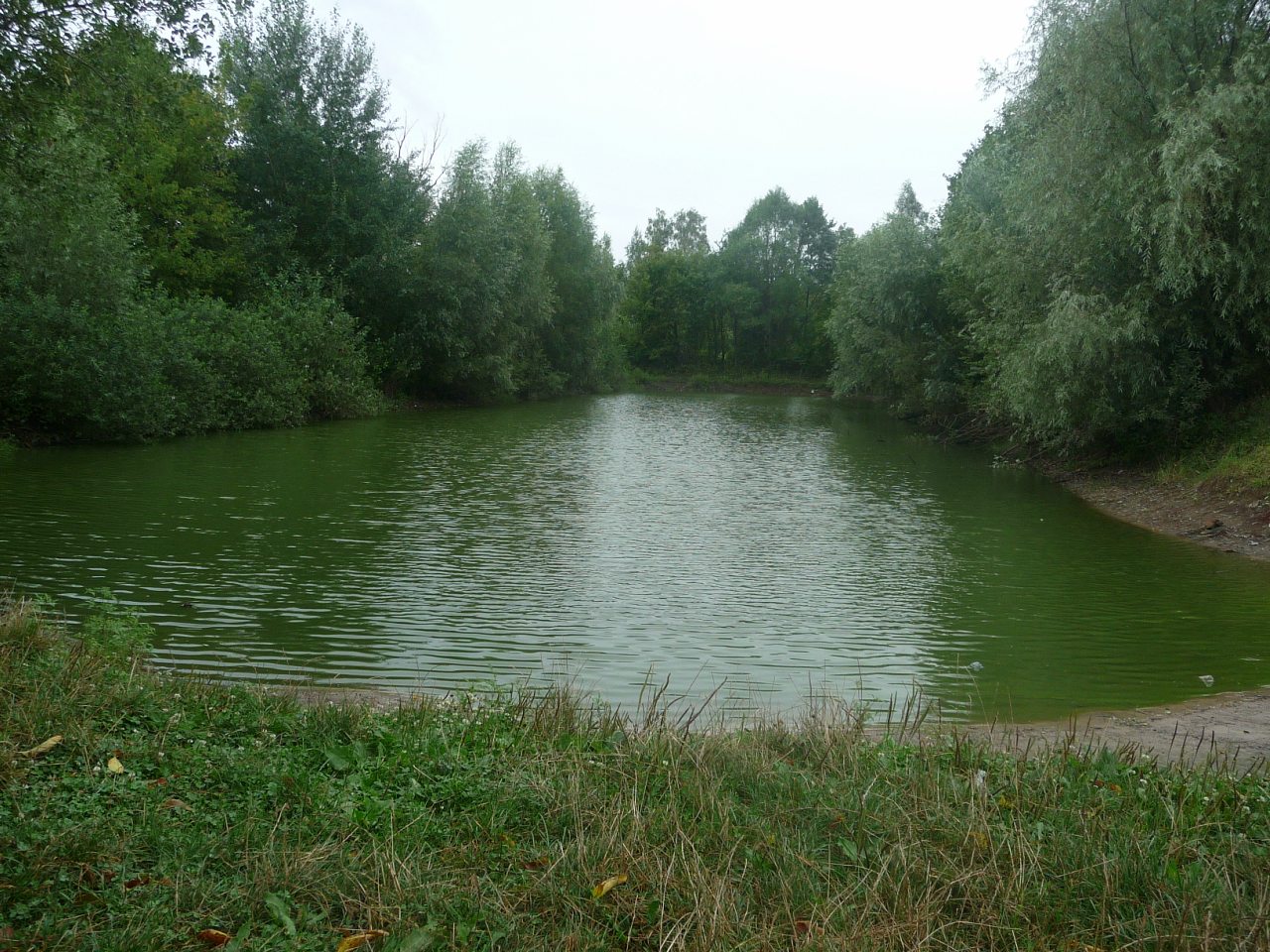 моя комаровка - Комаровка