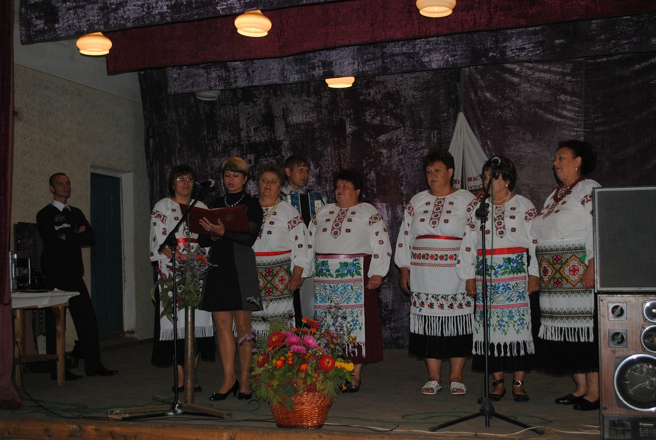 День села 2012 - Строкачи