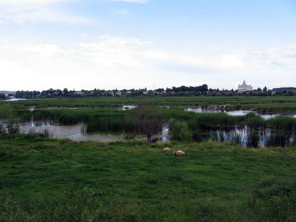 Рідні оку краєвиди - Любар