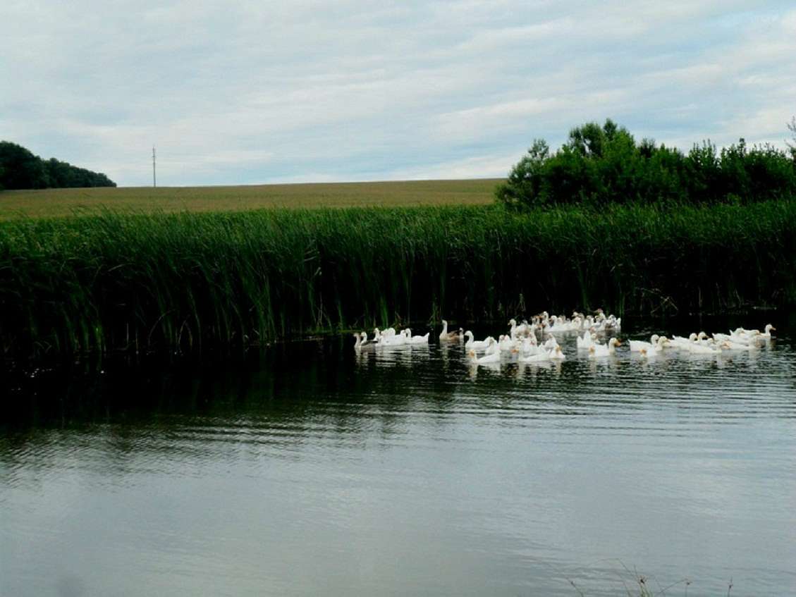 Краєвиди села. - Саверці