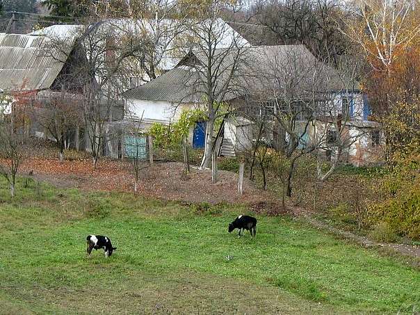 c Андрушки - Andruski