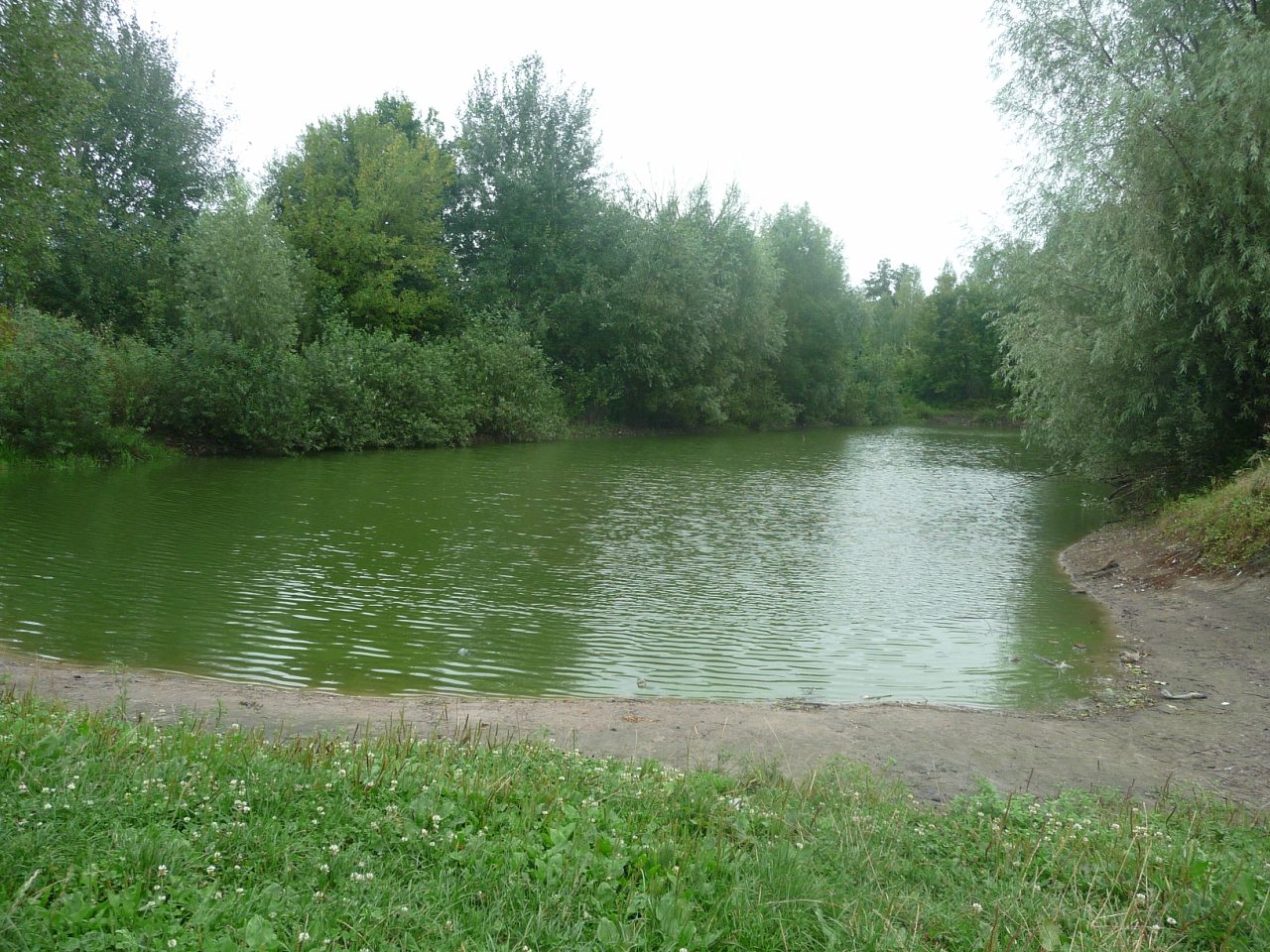 моя комаровка - Комаровка