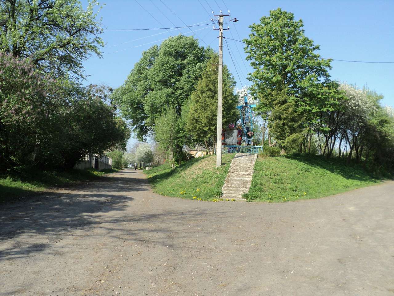 Весна 2012 - Лебеді