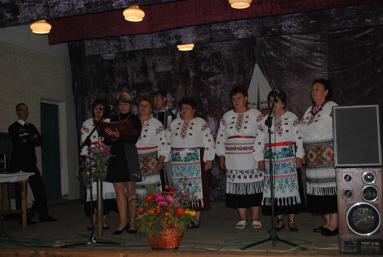 День села 2012 - Strokachi