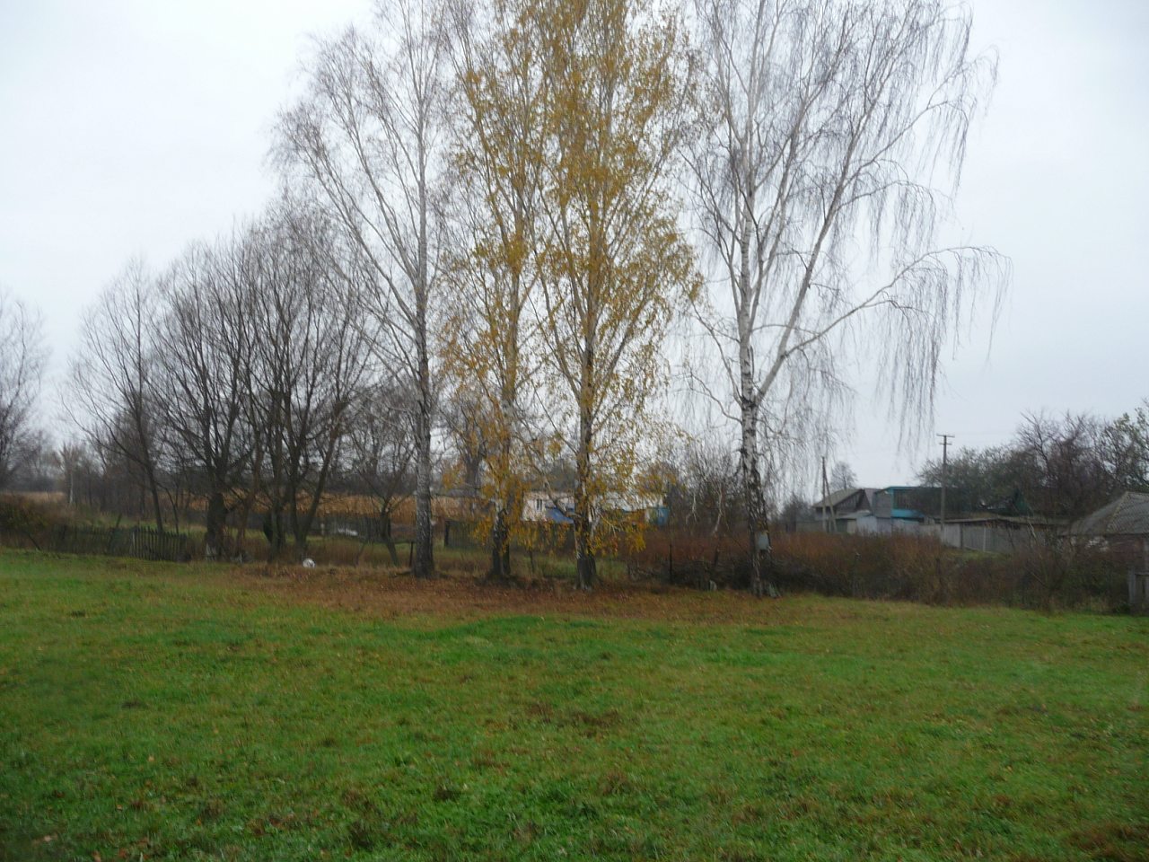 моя комаровка - Комаровка