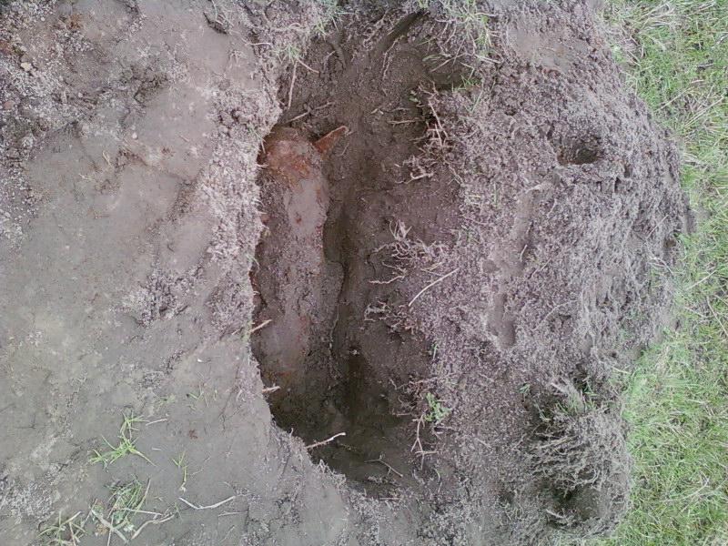 Липовець в інтернеті - Lypovec