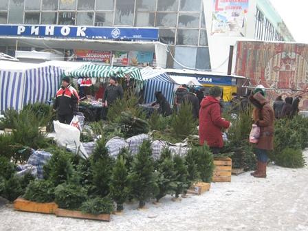 Шупарка в інтернеті - Шупарка