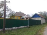 Галиця з інтернету