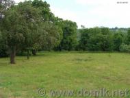 Грозинці з інтернету