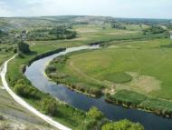 Осинове з інтернету