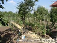 Грозинці з інтернету