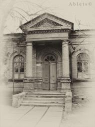 Саксагань з інтернету