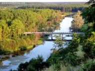Куземин з інтернету