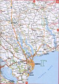 Цибулеве з інтернету