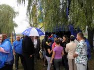 Осинове з інтернету