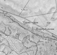 Трушівці з інтернету