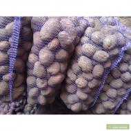 Понорниця з інтернету