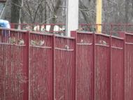 пташенятка