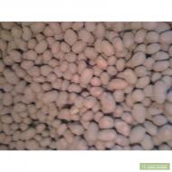 Понорниця з інтернету