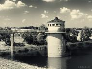 Саксагань з інтернету