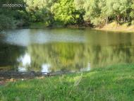 Драбів з інтернету