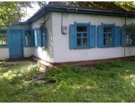 Драбів з інтернету