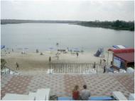 Саксагань з інтернету