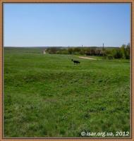 Ланцеве з інтернету