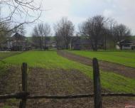 Юрчиха з інтернету