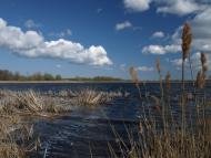 Басань з інтернету