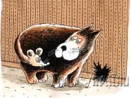 Курінь з інтернету