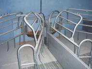 Насташка з інтернету