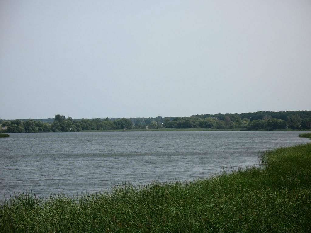 смт Ружин. - Ружин