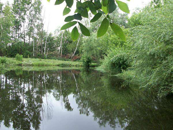 с Новоселиця. - Новоселиця